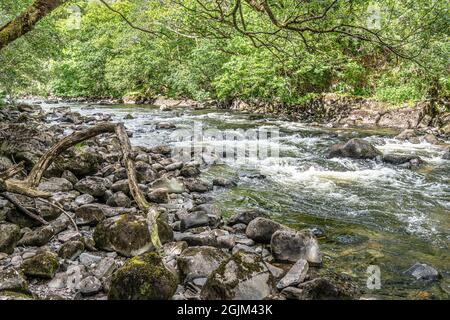 Fiume Garbh Uisge a nord ovest di Callander, Stirling, Scozia Foto Stock