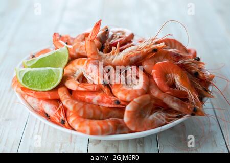 Gamberetti bolliti grandi in piatto bianco primo piano. Concetto di pesce. Fotografia alimentare Foto Stock