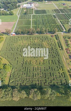 Richland, Michigan - Un labirinto di mais con un tema di prevenzione del suicidio a Gull Meadow Farms. Foto Stock