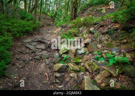 Pietre scavate tra le vecchie cave di arenaria su Loxley Common, vicino Sheffield. Foto Stock