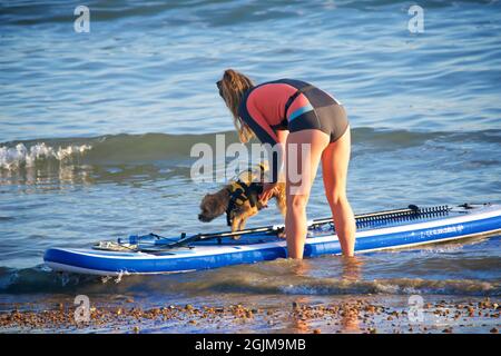 Donna che prende il suo cane per un giro su una tavola da paddleboard, Brighton e Hove, East Sussex, Inghilterra, Regno Unito Foto Stock