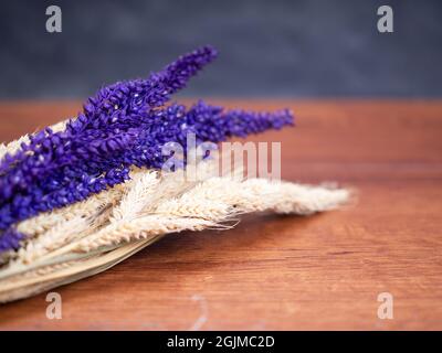 Miglio Foxtail essiccato, nome scientifico Setaria italica (sinonimo Panicum italicum L.), la seconda specie di miglio più ampiamente piantata, e la maggior parte gr Foto Stock