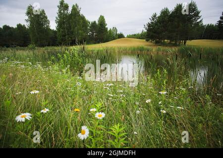 Lago circondato dal verde sul territorio del golf club. Serbatoio artificiale. Foto Stock