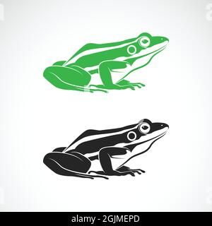 Vettore di rane verdi e rana nera su sfondo bianco. Anfibio. Animale. Icona o logo della rana. Illustrazione vettoriale a livelli facilmente modificabile. Illustrazione Vettoriale