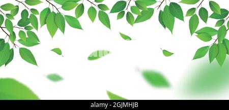 Foglie verdi in caduta. Illustrazione vettoriale. Illustrazione Vettoriale