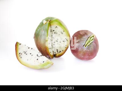 Mela peruviana cactus frutta isolato su sfondo bianco. Nome scientifico Cereus repandus. Foto Stock