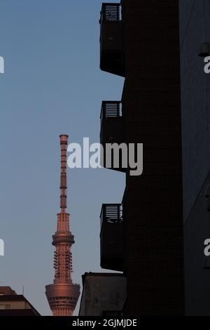 Tokyo Skytree al tramonto visto dietro i balconi di un edificio di appartamenti ad Asakusa, Tokyo, Giappone. Foto Stock