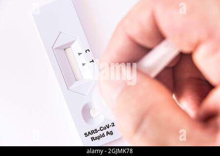 Kit auto-test COVID-19 Antigen Test, vendita in Drugstore. Dispositivo di test tampone sterile, provetta tampone di estrazione. Primo piano. Foto di alta qualità Foto Stock