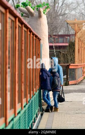 Famiglia passeggiata attraverso lo zoo, zoo di Ucraina, limpopo zoo. Foto Stock