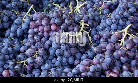 uva su un mercato a rodi in grecia Foto Stock