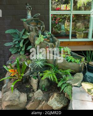 Insolita caratteristica d'acqua con cascata, creata da vecchi barili di birra, che si intreccia nello stagno e delimitato da rockery con felci e bromeliadi, in Australia Foto Stock