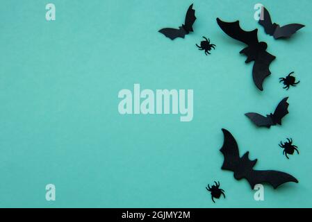 Collezione di oggetti Halloween party che formano una cornice, pipistrelli neri e ragni su sfondo verde Foto Stock