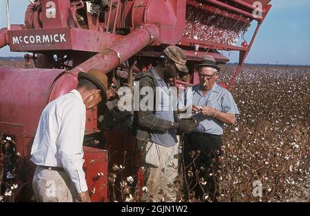 USA Georgia 1967. Un coltivatore che ispeziona un campo di cotone per vedere se è pronto a raccogliere. Sullo sfondo la macchina utilizzata per la raccolta. Kodachrome vetrino originale. Georgia Credit Roland Palm Ref 6-4-7 Foto Stock