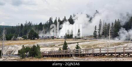 Vista panoramica del geyser Steamboat presso il parco nazionale di Yellowstone Foto Stock