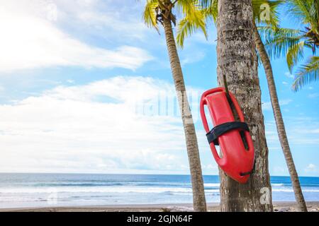 Copia la foto dello spazio di un galleggiante del bagnino appeso a una palma su una spiaggia tropicale Foto Stock