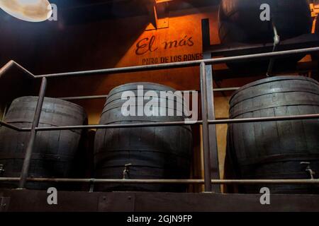 HAVANA, CUBA - 23 FEB 2016: Barili di rum in legno in una mostra del Museo del Ron Rum a l'Avana. Foto Stock