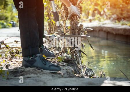 maschio mani taglio ramo con forbici giardino vicino fiume o pulizia parco della città Foto Stock