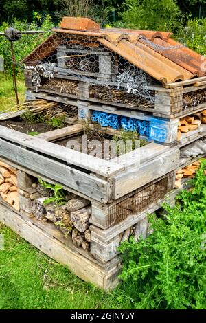 Bug Hotel Regno Unito Foto Stock