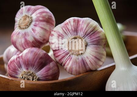 Diverse teste di spicchio d'aglio in ciotola di legno. Foto Stock