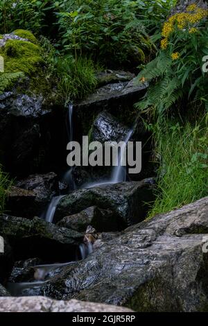 Cascate todtnauer della foresta nera (Schwarzwald), Baden-Wuerttemberg, Germania Foto Stock