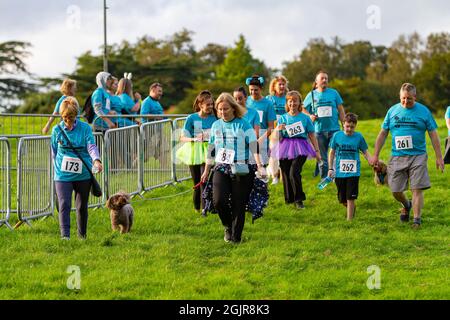 Arley Hall & Gardens, Warrington, Cheshire, Regno Unito. 11 Settembre 2021. 5k Sunset Walk per raccogliere soldi per San Rocco, l'Hospice locale per le persone a cui è stata diagnosticata una malattia che limita la vita Credit: John Hopkins/Alamy Live News Foto Stock