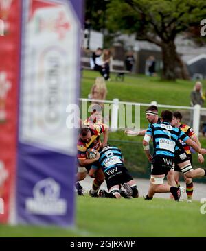 Carmarthen Quins RFC contro Cardiff RFC 2021 Foto Stock