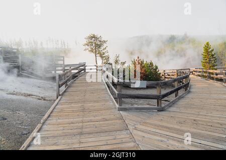 Passerelle nei pressi di Echinus Geyser nella zona posteriore del bacino di Norris nel Parco Nazionale di Yellowstone Foto Stock