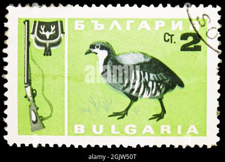 MOSCA, RUSSIA - 20 GIUGNO 2021: Francobollo stampato in Bulgaria mostra Chukar Partridge (Alectoris chukar), Caccia (1964) serie, circa 1967 Foto Stock