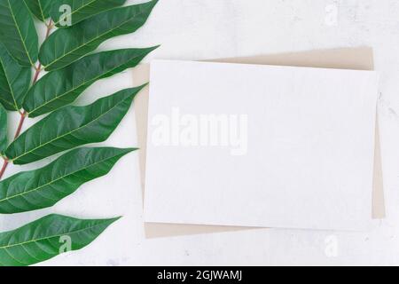 Mockup per biglietti d'auguri, biglietti d'invito, biglietto da visita, carta di ringraziamento di cartone bianco e scuro su sfondo vintage chiaro con un ramo Foto Stock