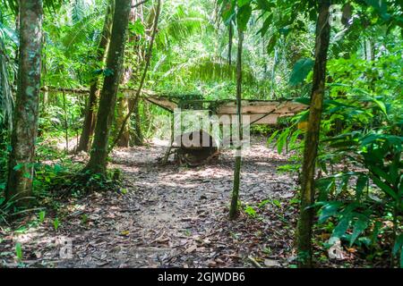 Relitto in aereo nel Cockscomb Basin Wildlife Sanctuary, Belize. Questo aereo si schiantò con il dottor Alan Rabinowitz, biologo che studiava jaguar. Foto Stock
