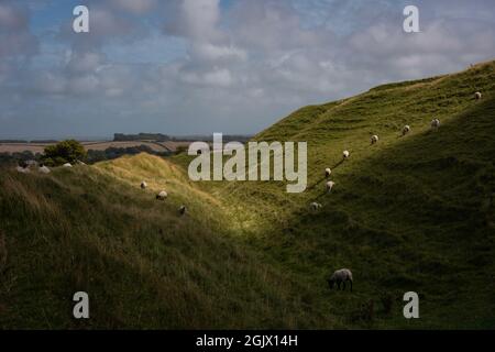 Maiden Castle, il più grande forte della collina dell'età del ferro nel Regno Unito Foto Stock