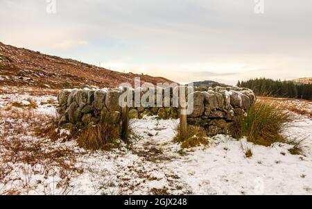Una vecchia neve coperta scottish drystone dyke pecora piega in inverno, Cairnsmore della flotta, Scozia Foto Stock