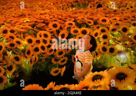 Londra, Regno Unito. 12 settembre 2021. Un bambino deliziato da girasoli al Van Gogh Alive immersive Multimedia Art Experience in Kensington Gardens Credit: Andy Sillett/Alamy Live News Foto Stock