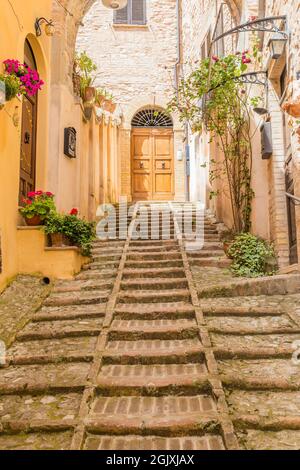 Spello, Italia - circa 2021 giugno: Fiori in strada antica. Spello si trova in Umbria, Italia. Foto Stock