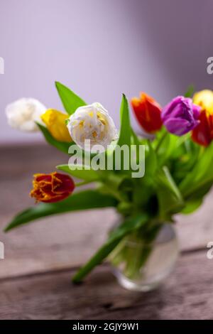Vaso con mazzi multicolore di tulipani su un tavolo di legno. Tulipano con gocce di rugiada. Messa a fuoco selettiva. Sfondo primaverile. Tulipani con gocce di rugiada Foto Stock