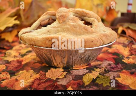 Torta di mele Foto Stock