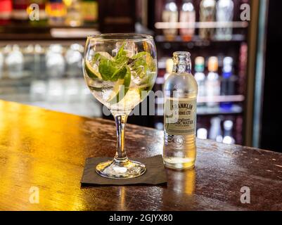 Gin & Tonic sul Copper Bar al Penventon Park Hotel a Redruth, Cornovaglia Foto Stock