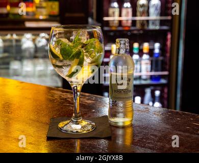 Gin & Elderflower Tonic sul Copper Bar al Penventon Park Hotel a Redruth, Cornovaglia Foto Stock
