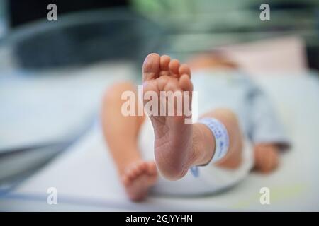 neonato di 2 giorni in un ospedale di maternità. Foto Stock