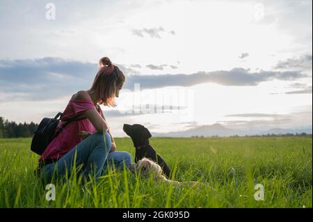Giovane donna fuori in un bel prato verde inginocchiato verso i suoi due cani guardandola con attenzione e fiducia. Foto Stock