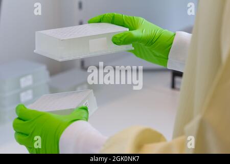 Scienziato che trasferisce le piastre a pozzetti profondi alla centrifuga Foto Stock