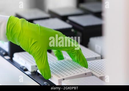 Caricamento del robot con le piastre per campioni per l'analisi COVID-19 Foto Stock
