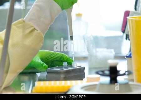 Ricerca scientifica pipettando i reagenti su una piastra Foto Stock