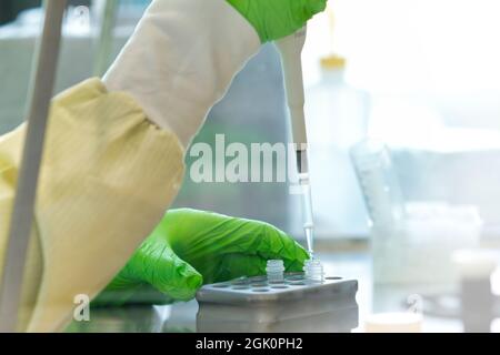 Ricerca scientifica pipettando i reagenti su una piastra Foto Stock