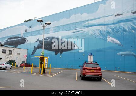 Il centro di Anchorage è pieno di arte a forma di animali come balene o alci, il che lo rende un luogo più luminoso da visitare. Foto Stock