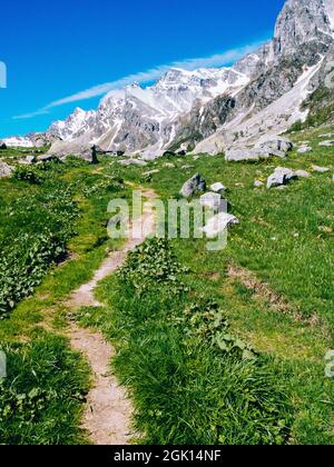 Uno scatto verticale di un sentiero attraverso i prati alpini dell'Alpe Devero Foto Stock