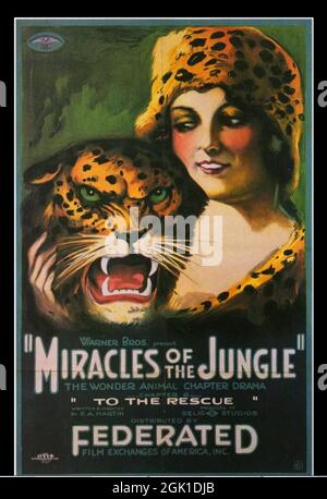 Fare clic sul poster del film Vintage American - 'Miracles of the Jungle', anni '10 Foto Stock