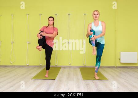 Due ragazze in abbigliamento sportivo stanno facendo yoga nella sala. Le donne eseguono asana difficili. Concetto di calma, equilibrio e concentrazione. Foto Stock