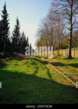 Scatto panoramico di una vecchia ferrovia in legno che attraversa un parco verde di erba circondato da alberi Foto Stock