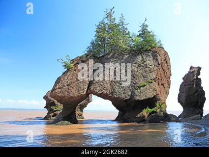 Flower Pot Island a Hopewell Rocks a New Brunswick, Canada Foto Stock